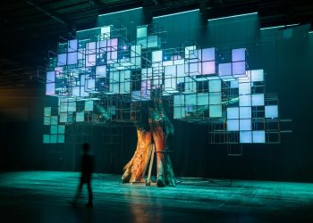 What Makes an Exhibition Truly Immersive?