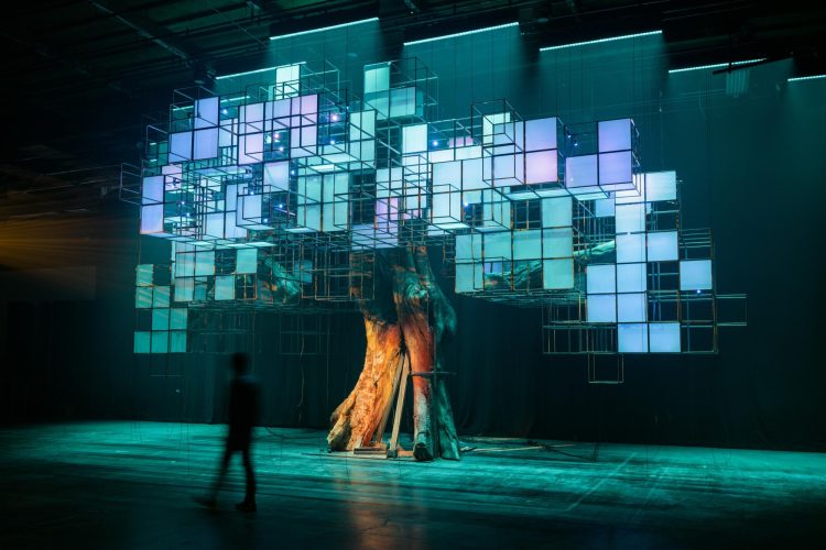 What Makes an Exhibition Truly Immersive?