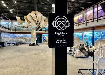 How Can Museums Ensure Accessibility in Their Exhibitions?