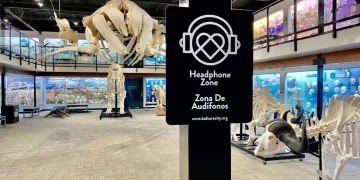 How Can Museums Ensure Accessibility in Their Exhibitions?