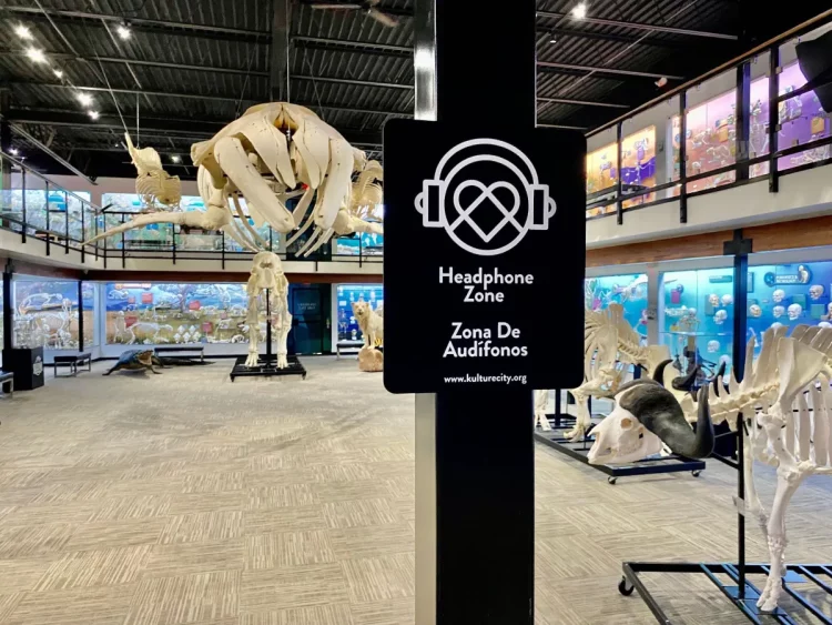 How Can Museums Ensure Accessibility in Their Exhibitions?