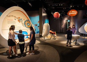 The Role of Exhibitions in Shaping Public Opinion